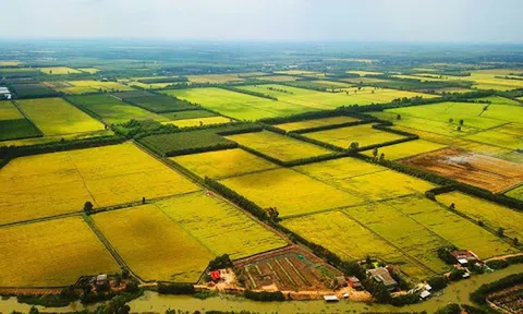 Chính phủ thông qua nội dung dự thảo về một số cơ chế, chính sách tháo gỡ khó khăn, vướng mắc trong thi hành Luật Đất đai