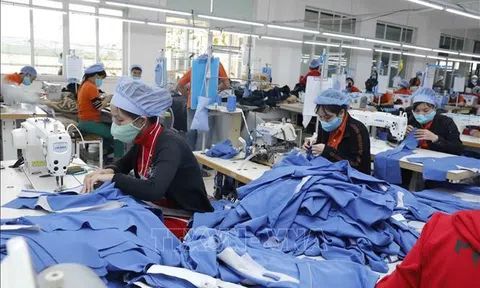 Cơ hội mới cho dệt may Việt Nam tại hội chợ SIUF Vietnam 2025